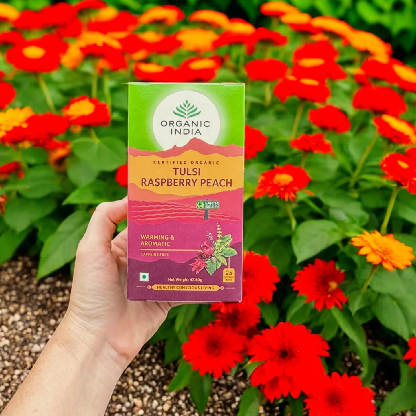 Tulsi orgánico de India, frambuesa y melocotón, 25 sobres