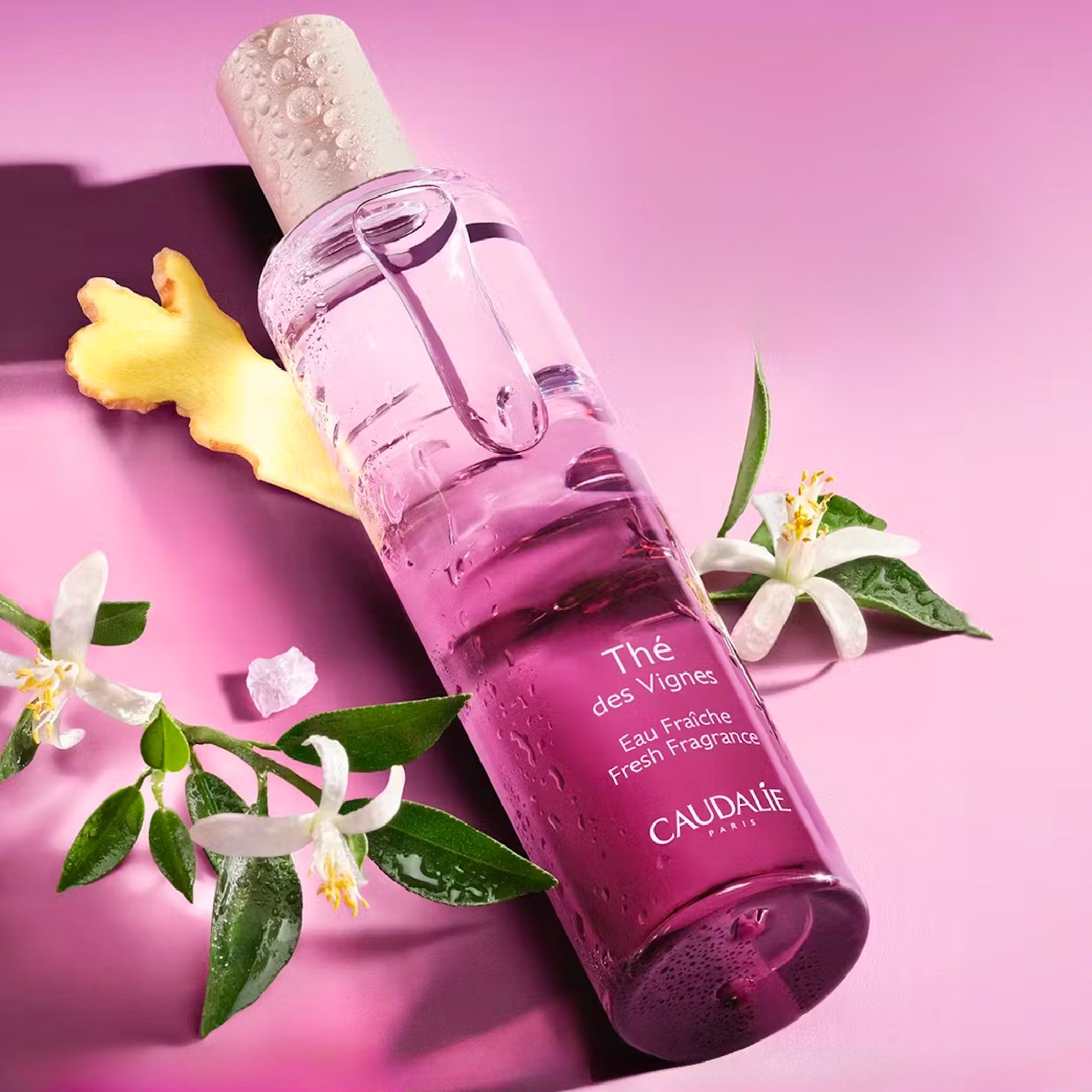 Caudalie Thé des Vignes Eau Fraiche 50ml