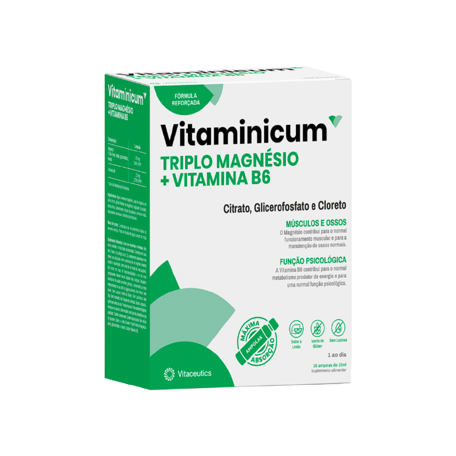 Vitaminicum Triplo Magnésio + Vitamina B6 15ml x 15 Ampolas