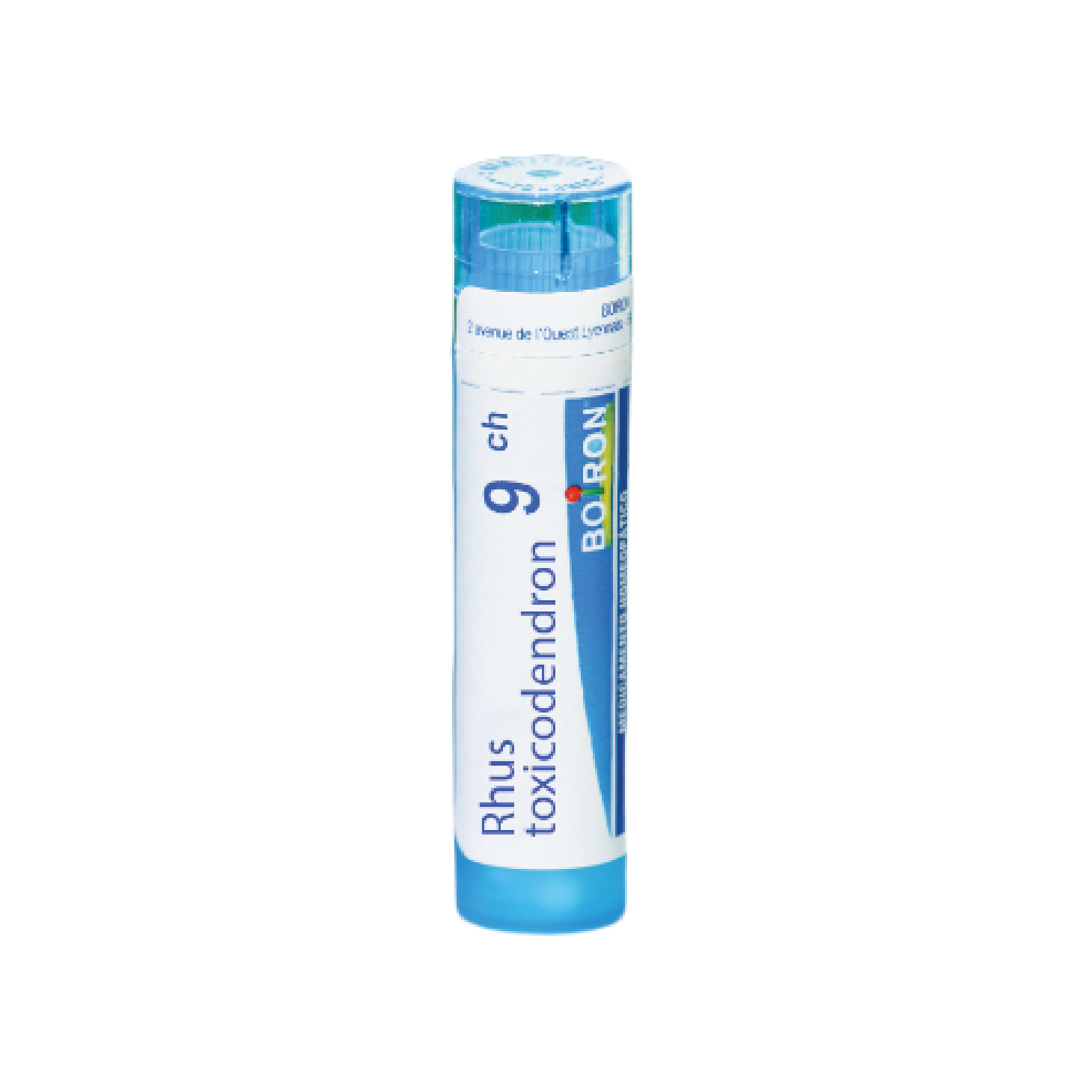 Boiron Rhus Toxicodendro Granulo 9ch