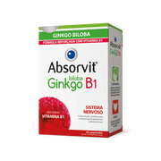 Absorvit Ginkgo B1 60 Comprimidos