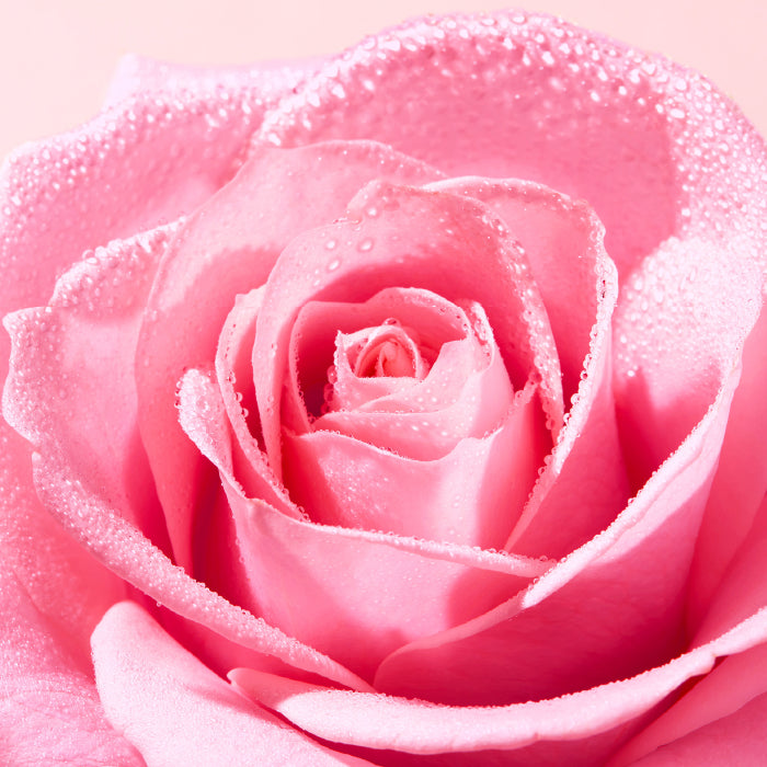 Espuma limpiadora Nuxe Very Rose 150 ml