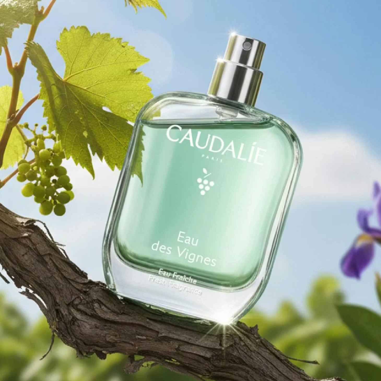 Caudalie Eau des Vignes Eau Fraiche 50ml