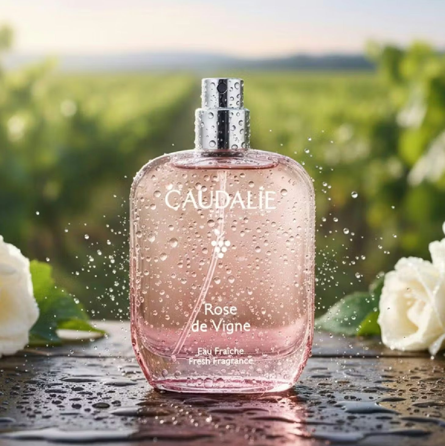Caudalie Rose de Vigne Eau Fraiche 50ml