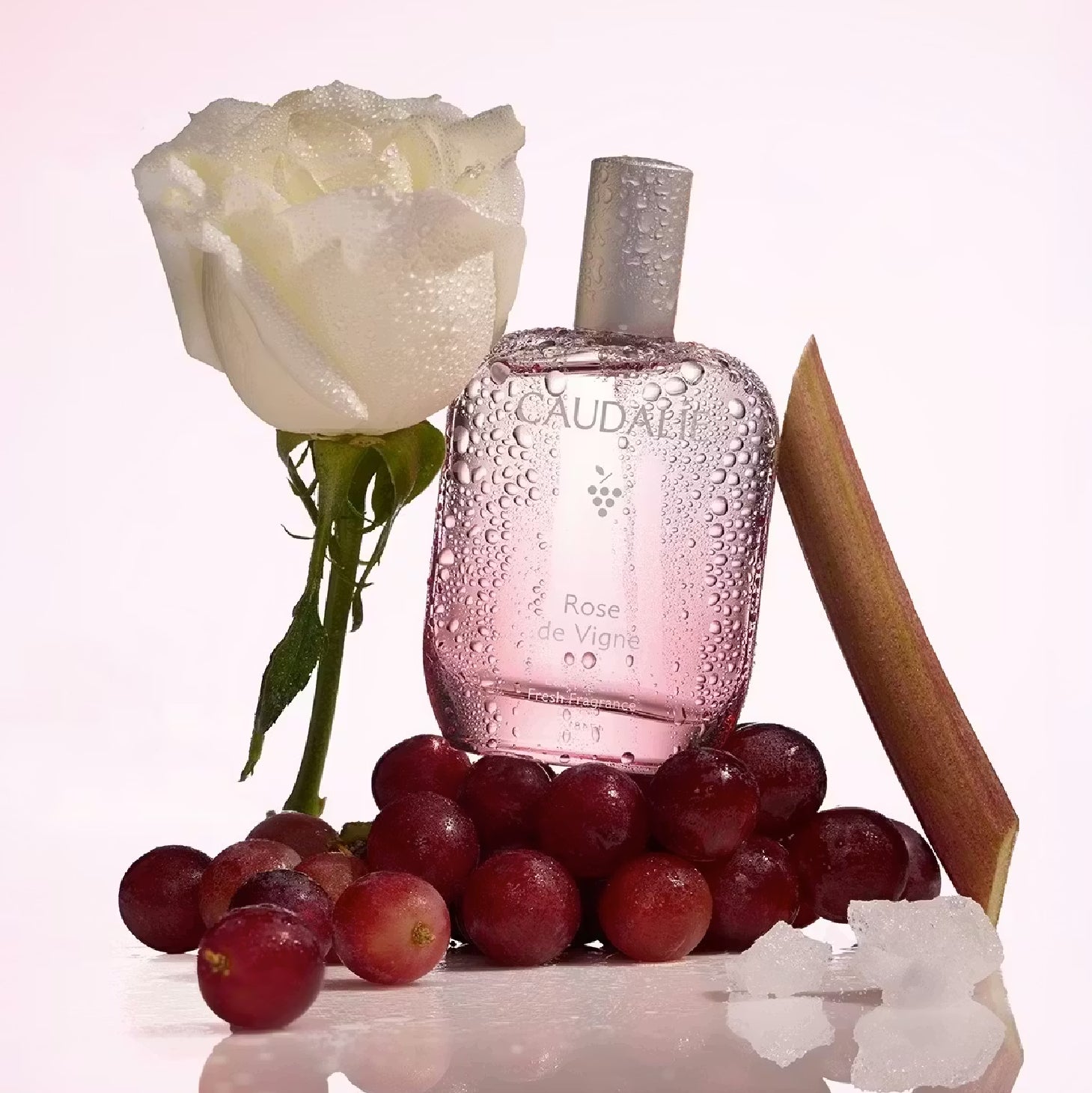 Caudalie Rose de Vigne Eau Fraiche 50ml
