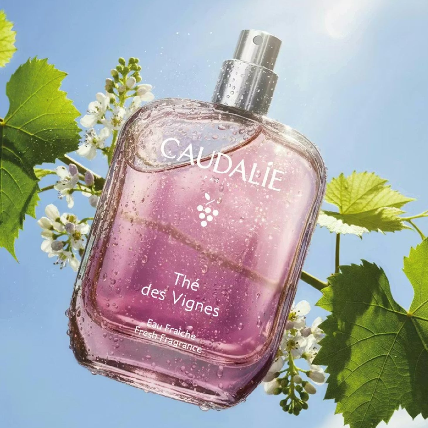 Caudalie Thé des Vignes Eau Fraiche 100ml