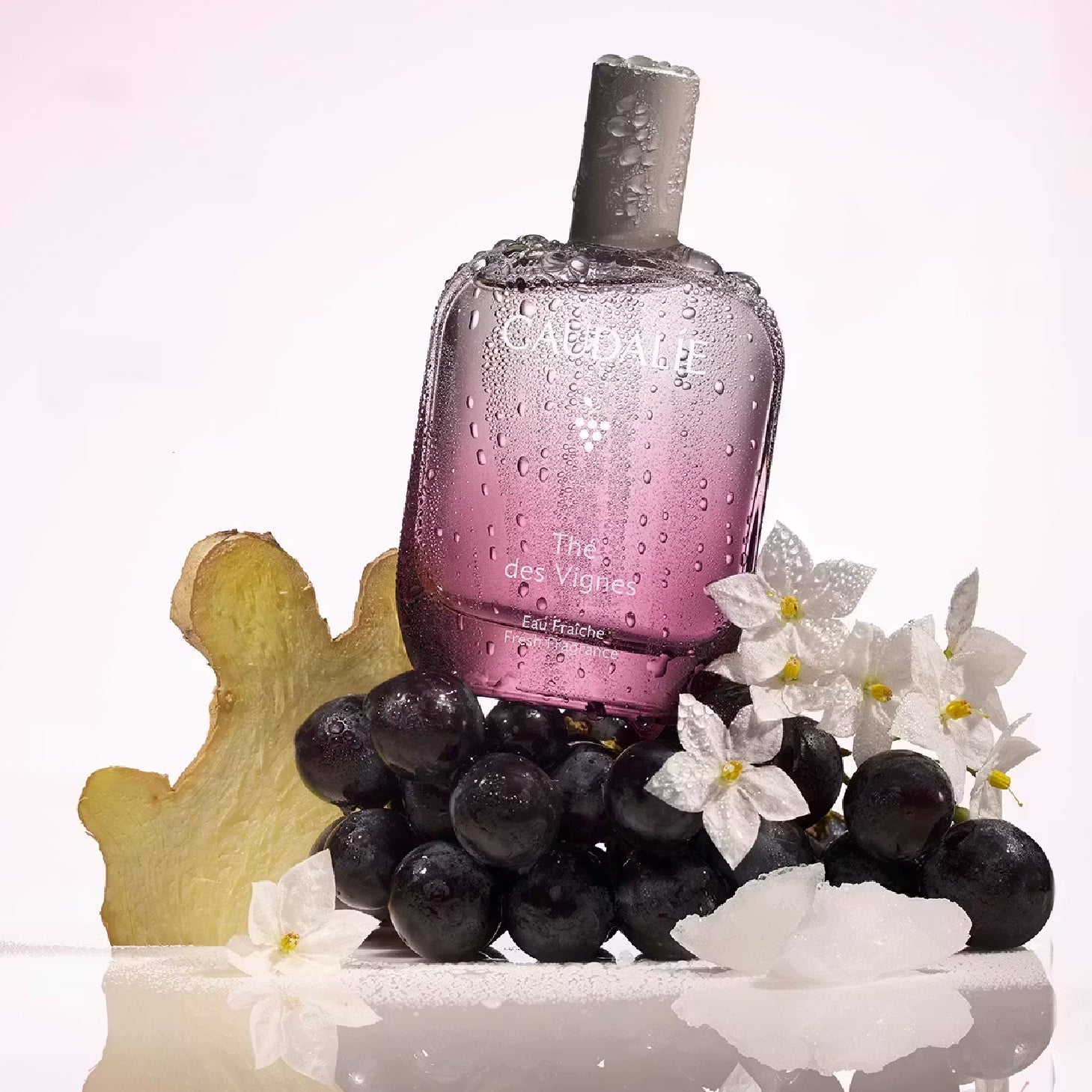 Caudalie Thé des Vignes Eau Fraiche 100ml