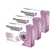 Magnesium B 30 Comprimidos x 3 Unidades