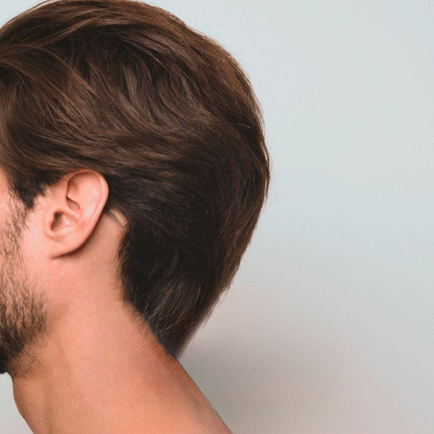 Rene Furterer Triphasic Champô 500ml